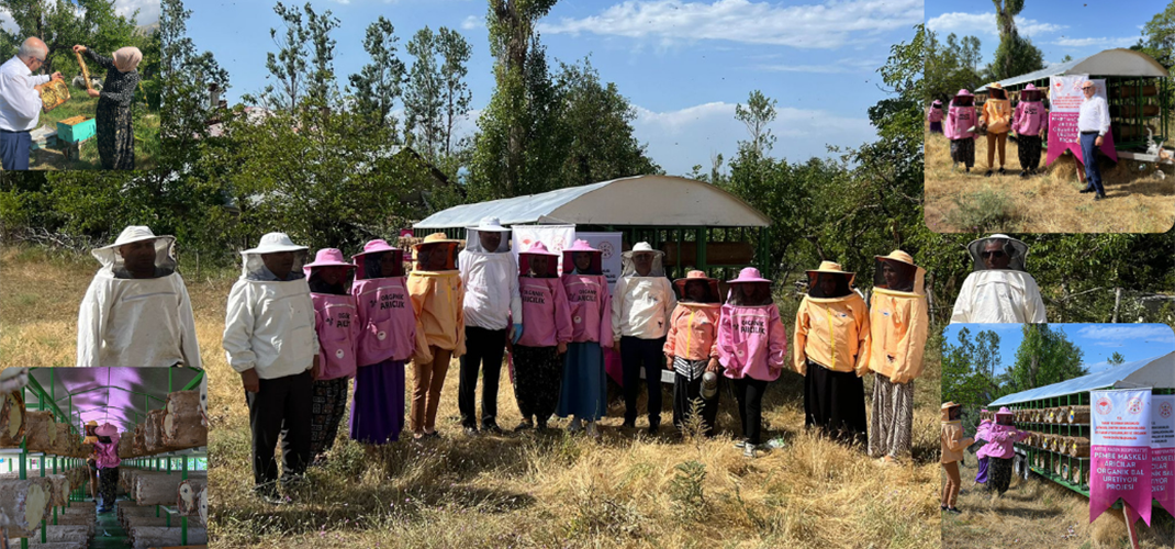 Gevaş İlçemizde Kooperatif Kuran Pembe Maskeli Kadınlara Kovan Desteği Sağladık