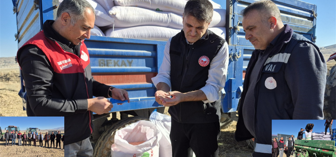 2025'in Sonuna Kadar Van Buğday Ambarı Oluyor Projesi Kapsamında, 1.127 Ton Buğday Tohumu Dağıtacağız.